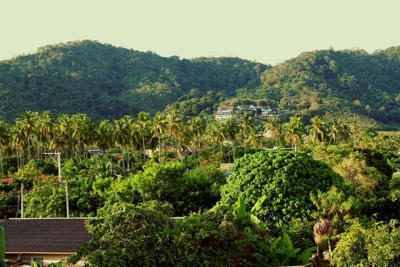 Tropical Sands – Foto 6